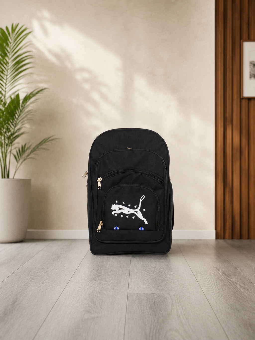 Premium School Backpack for Boys & Girls | 21L Lightweight Polyester Backpack | Water-Resistant Travel & College Bag |
