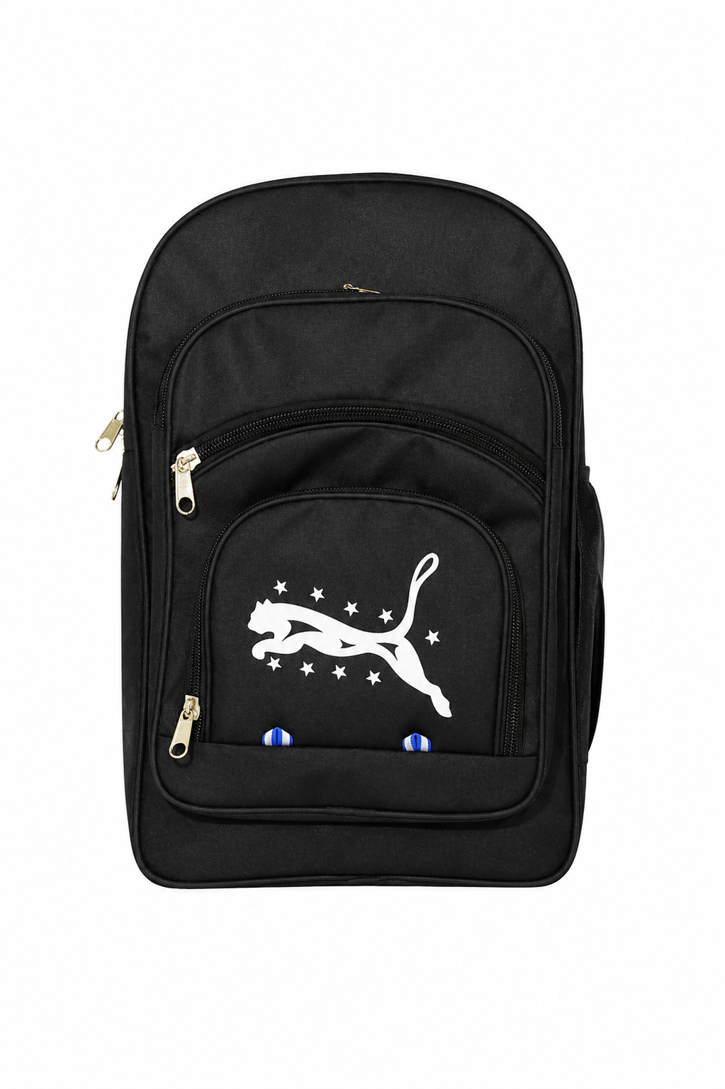 Premium School Backpack for Boys & Girls | 21L Lightweight Polyester Backpack | Water-Resistant Travel & College Bag |